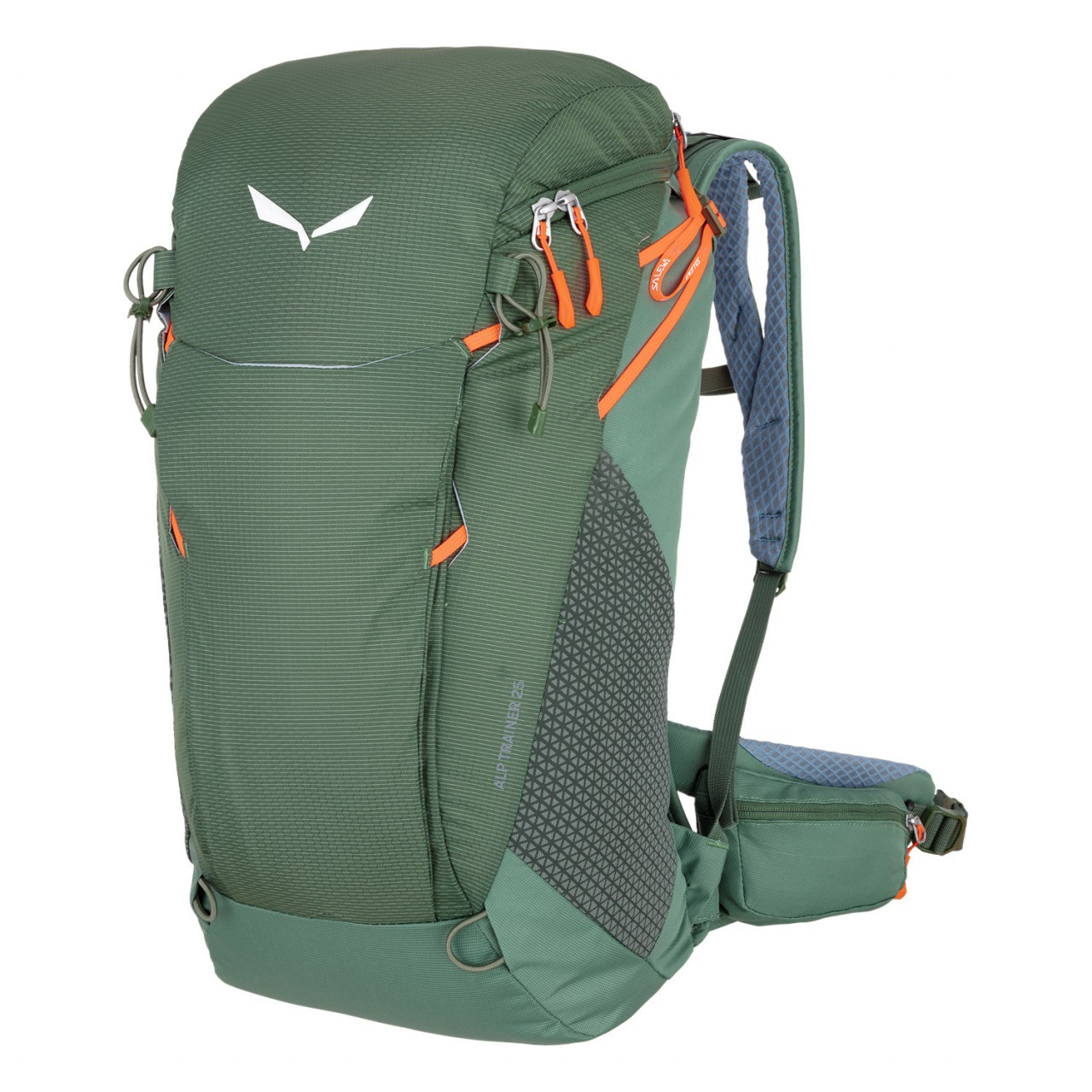 Salewa Alp Trainer 25L Backpacks Green HVC-514603